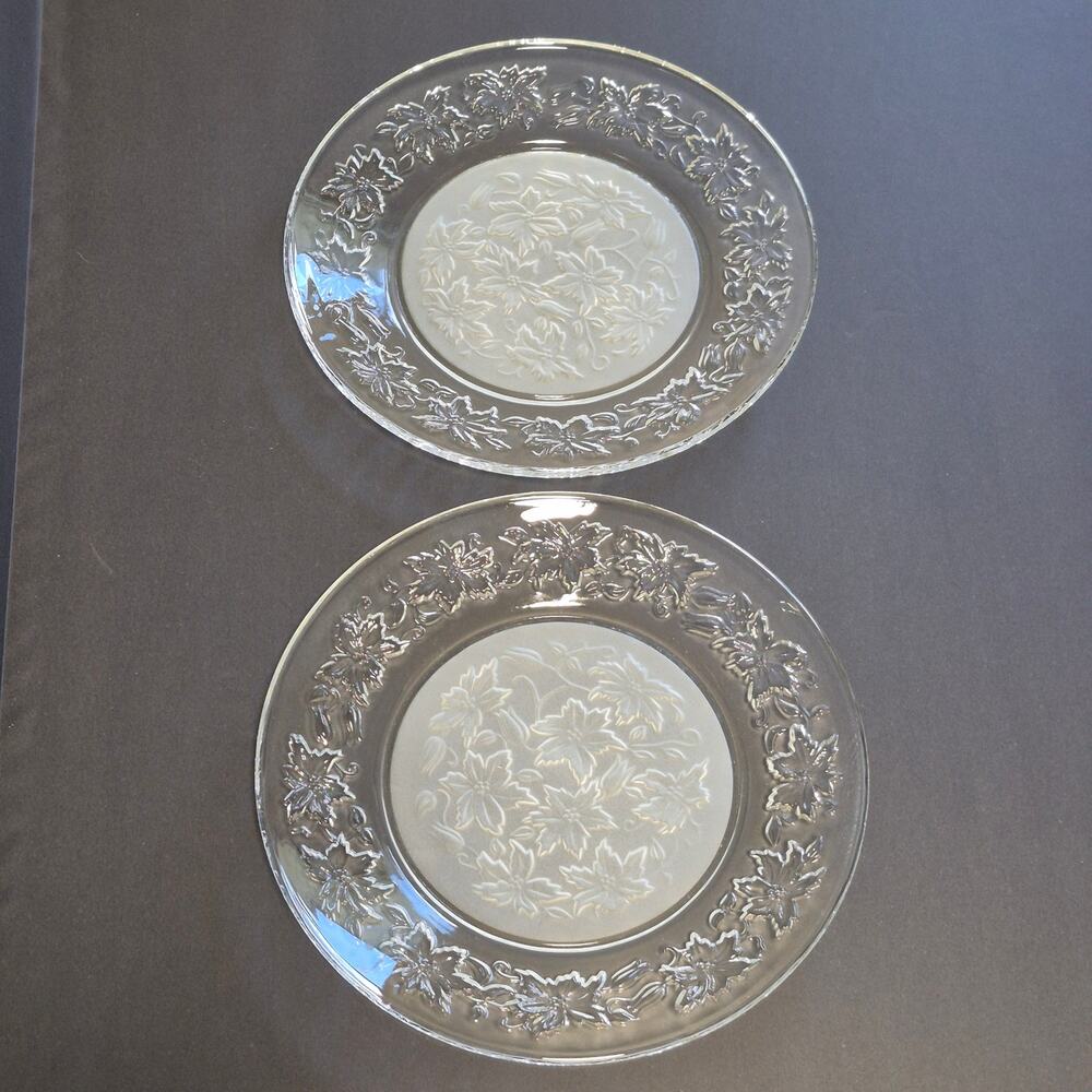 Set of 2 Princess House Fantasia Dinner Plates 10-inch Frosted Center #3